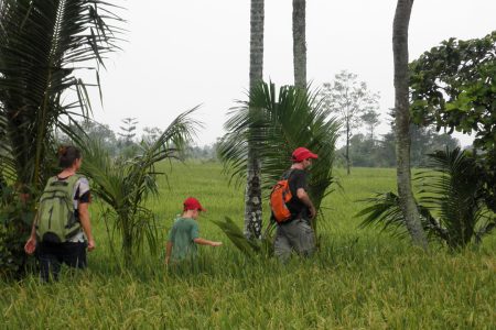 Lombok Walk Tour in Rice Field