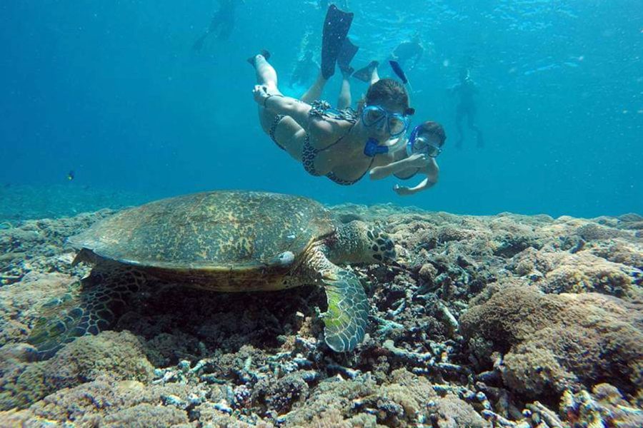Gili islands Snorkelling