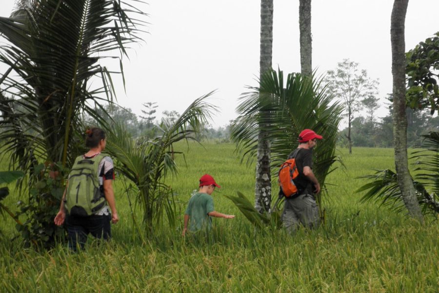 Lombok Rice Field Walk Tour