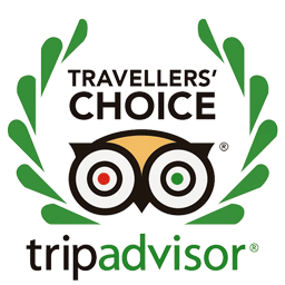 Loved on Tripadvisor