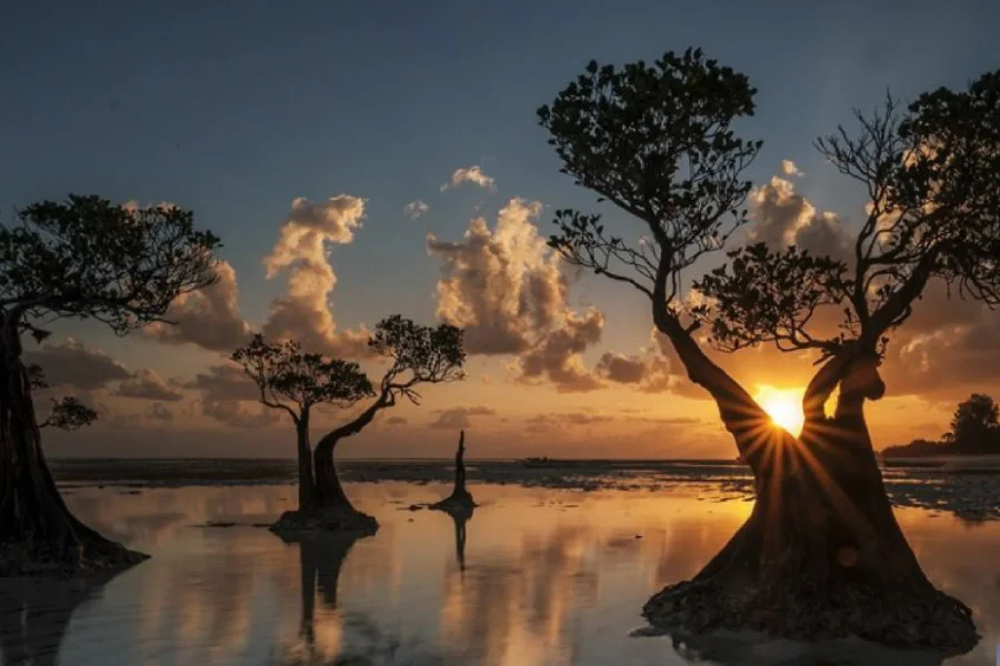 Waikiri Beach Sumba